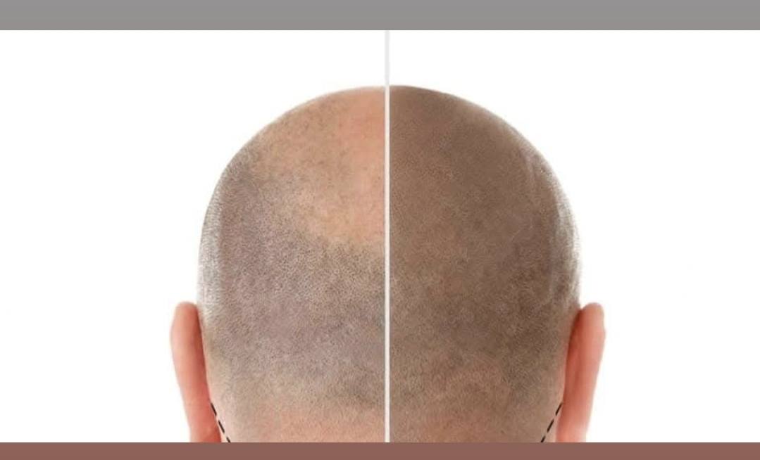 Powder brows mapping